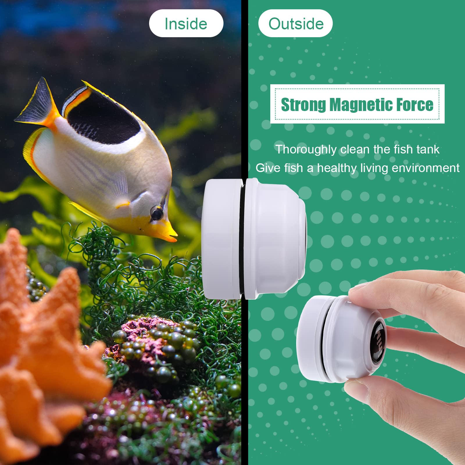 Your one-stop shop for diverse, top-quality aquarium supplies and accessories
