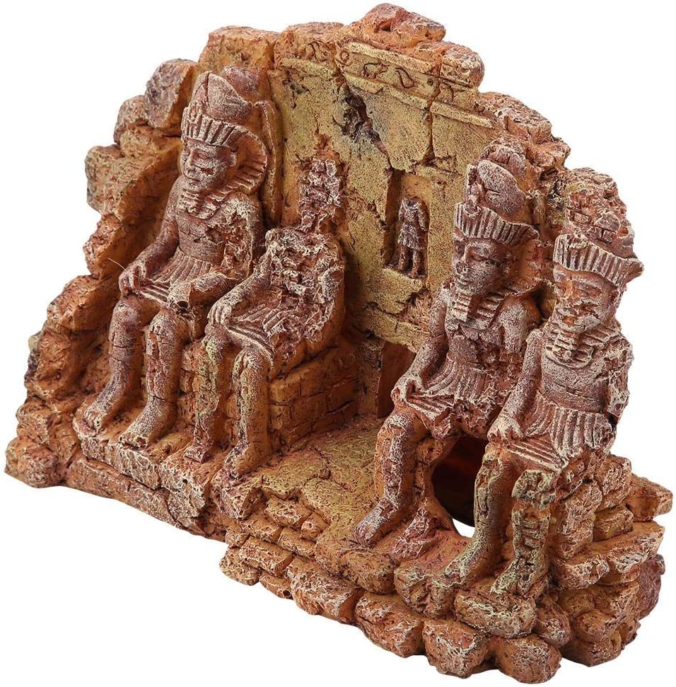 Your one-stop shop for diverse, top-quality aquarium supplies and accessories