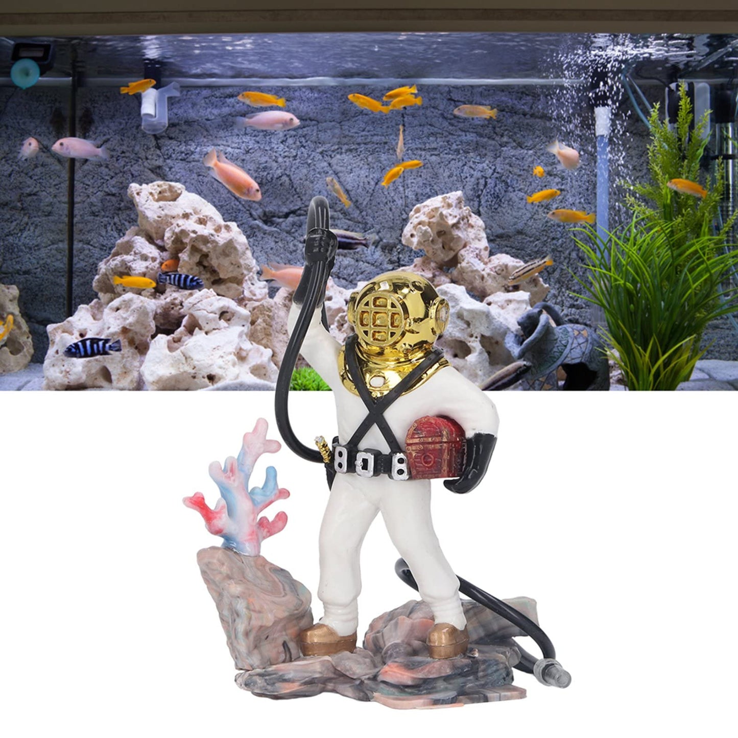 Your one-stop shop for diverse, top-quality aquarium supplies and accessories