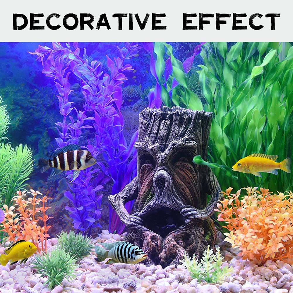 Your one-stop shop for diverse, top-quality aquarium supplies and accessories