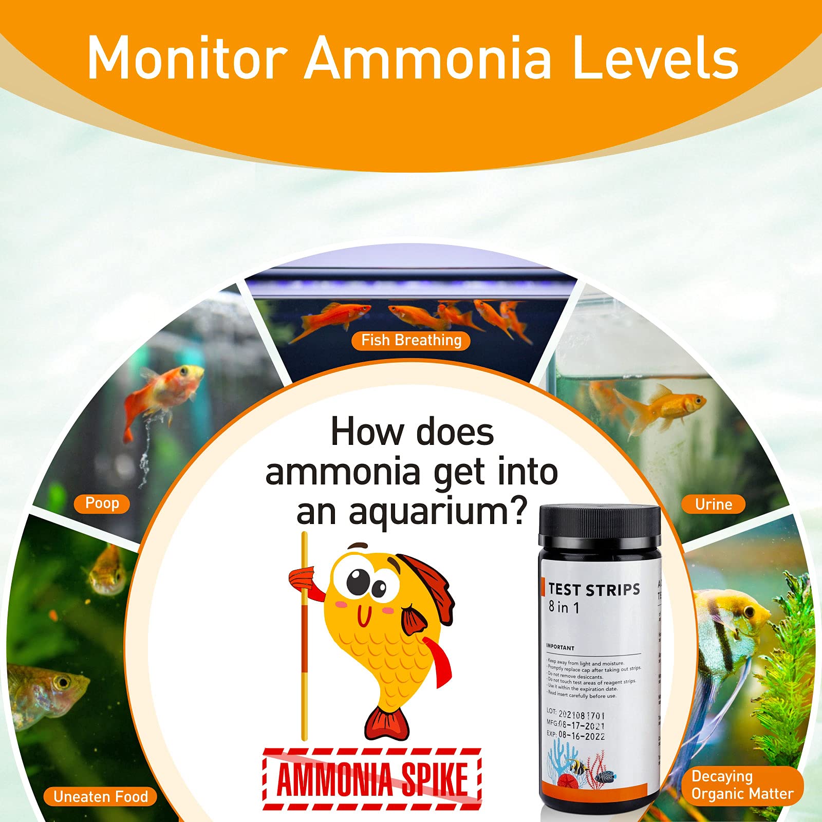Your one-stop shop for diverse, top-quality aquarium supplies and accessories