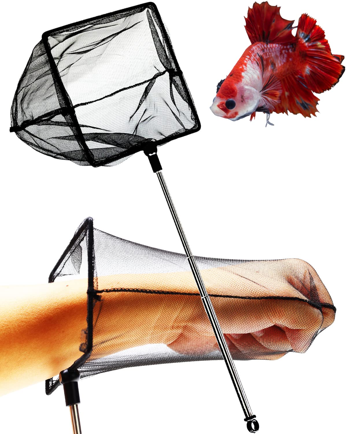 Your one-stop shop for diverse, top-quality aquarium supplies and accessories