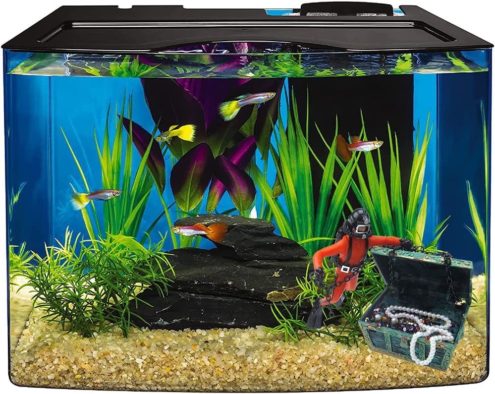 Your one-stop shop for diverse, top-quality aquarium supplies and accessories