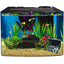 Your one-stop shop for diverse, top-quality aquarium supplies and accessories