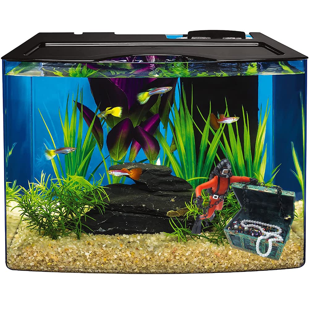 Your one-stop shop for diverse, top-quality aquarium supplies and accessories