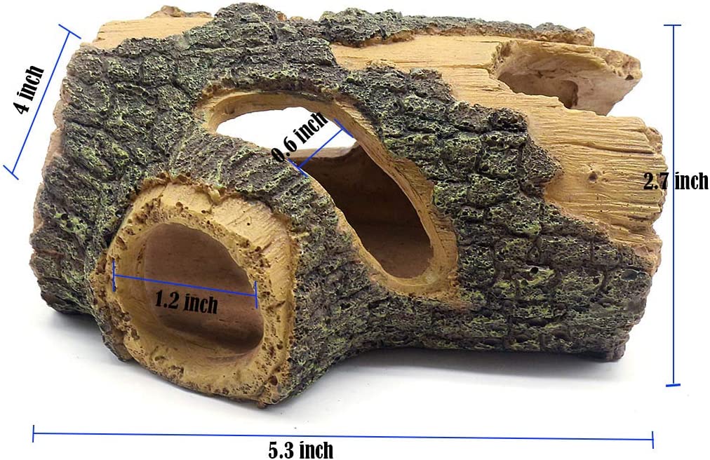 Your one-stop shop for diverse, top-quality aquarium supplies and accessories