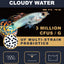 Your one-stop shop for diverse, top-quality aquarium supplies and accessories