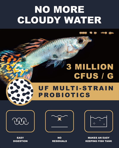 Your one-stop shop for diverse, top-quality aquarium supplies and accessories