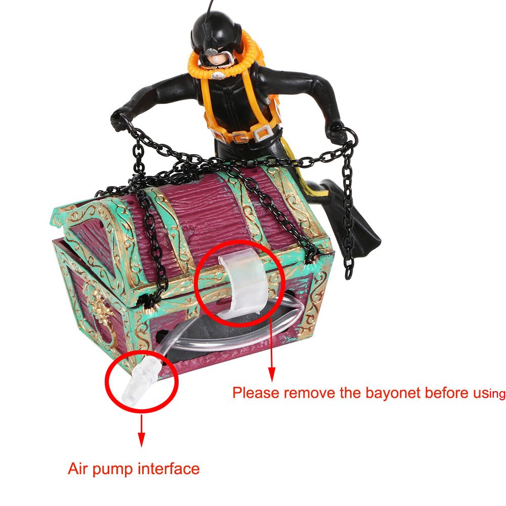 Your one-stop shop for diverse, top-quality aquarium supplies and accessories