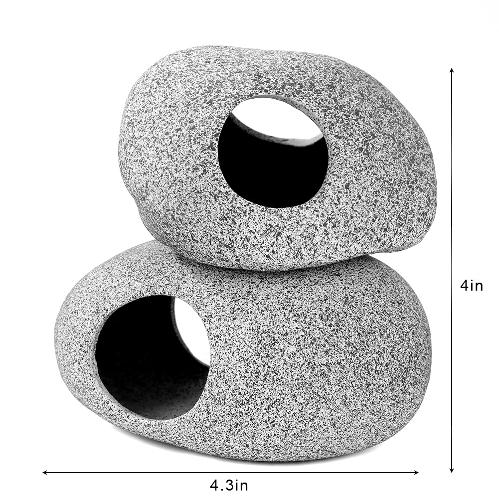 Your one-stop shop for diverse, top-quality aquarium supplies and accessories