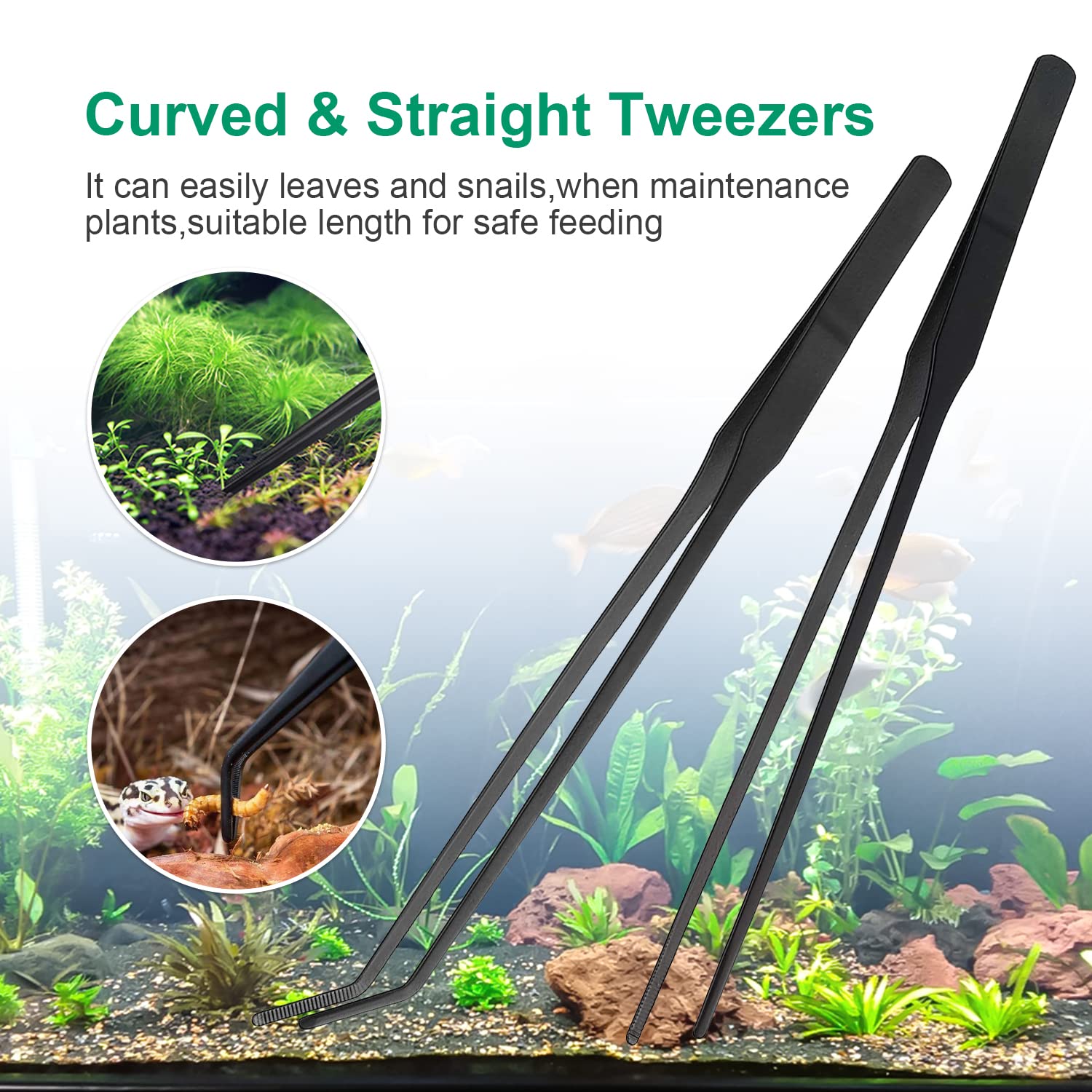 Your one-stop shop for diverse, top-quality aquarium supplies and accessories