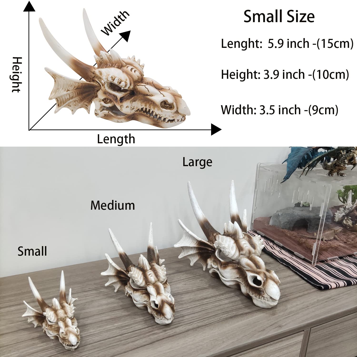 Your one-stop shop for diverse, top-quality aquarium supplies and accessories