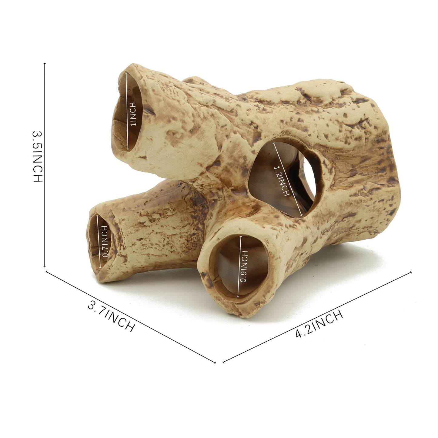 Your one-stop shop for diverse, top-quality aquarium supplies and accessories