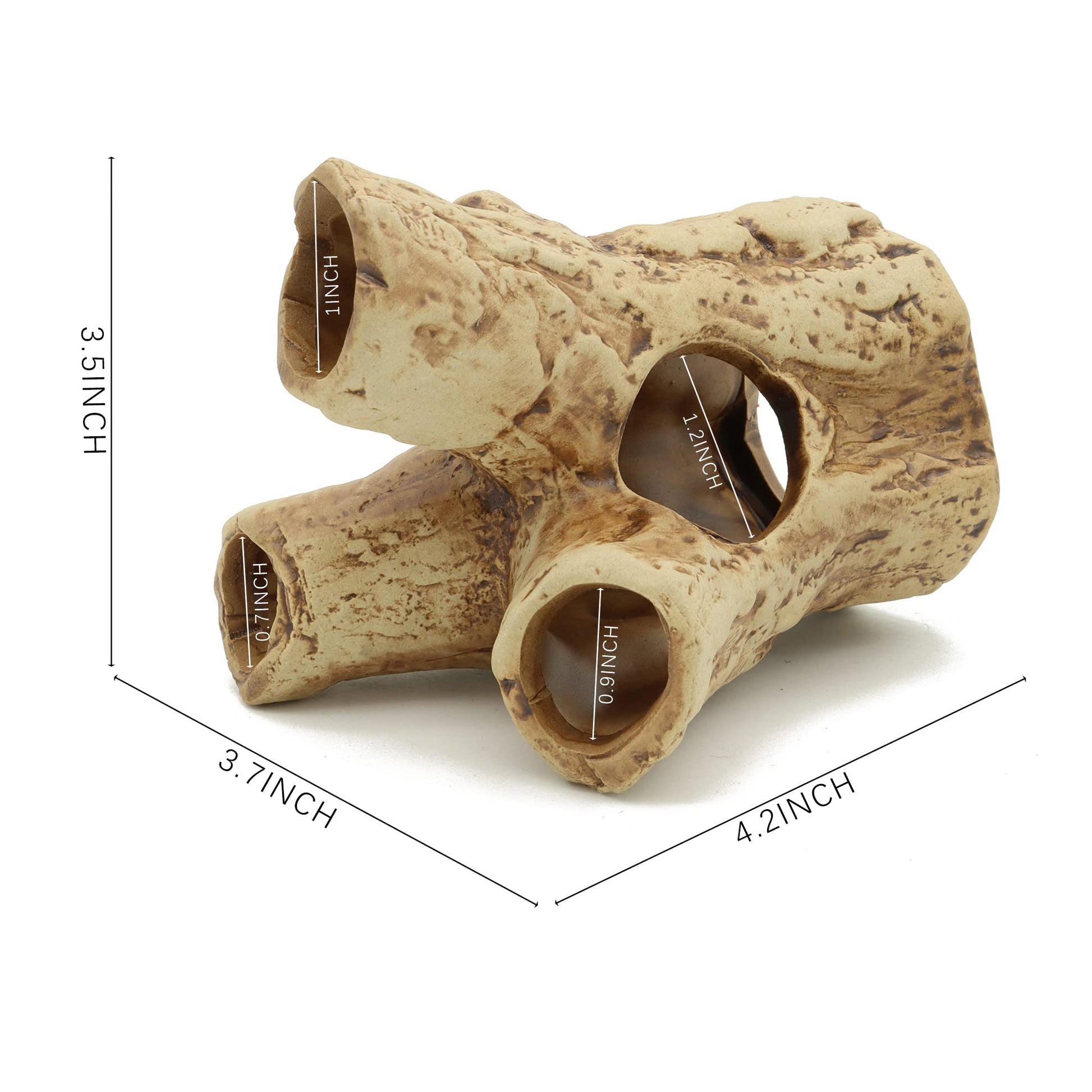 Your one-stop shop for diverse, top-quality aquarium supplies and accessories