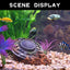 Your one-stop shop for diverse, top-quality aquarium supplies and accessories