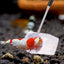 Your one-stop shop for diverse, top-quality aquarium supplies and accessories