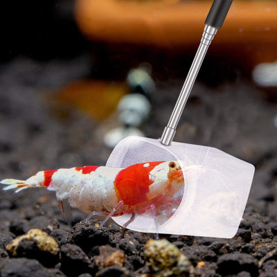 Your one-stop shop for diverse, top-quality aquarium supplies and accessories