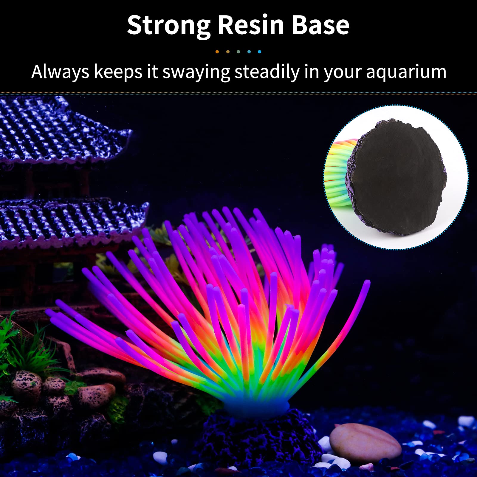 Your one-stop shop for diverse, top-quality aquarium supplies and accessories