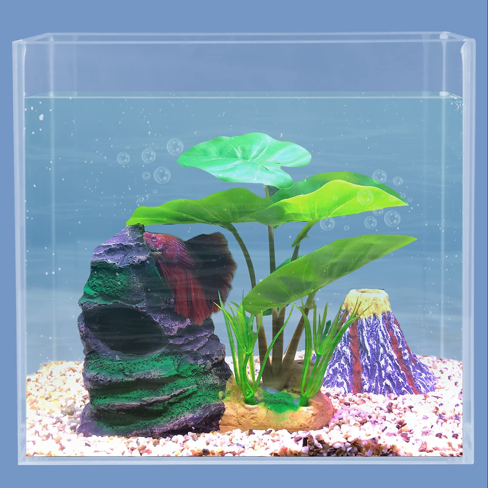 Your one-stop shop for diverse, top-quality aquarium supplies and accessories