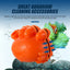 Your one-stop shop for diverse, top-quality aquarium supplies and accessories