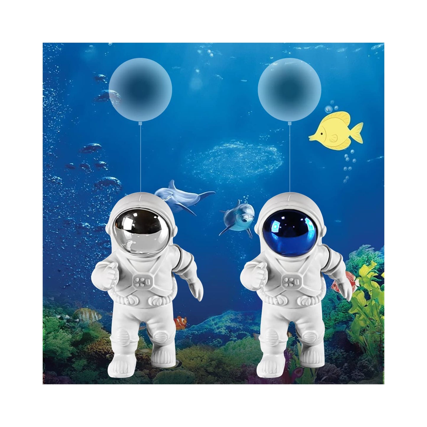 Your one-stop shop for diverse, top-quality aquarium supplies and accessories
