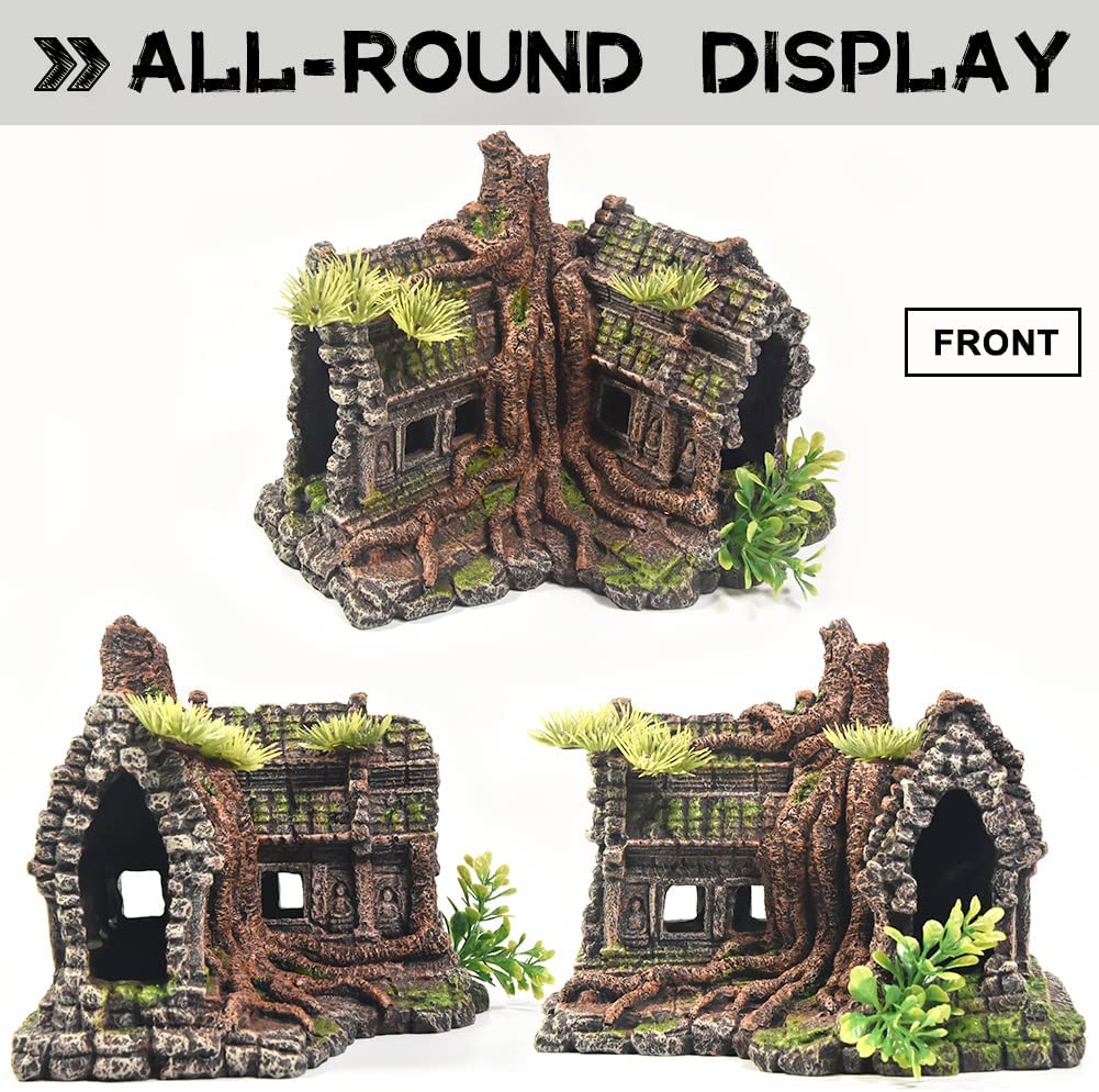 Your one-stop shop for diverse, top-quality aquarium supplies and accessories