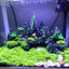 Your one-stop shop for diverse, top-quality aquarium supplies and accessories