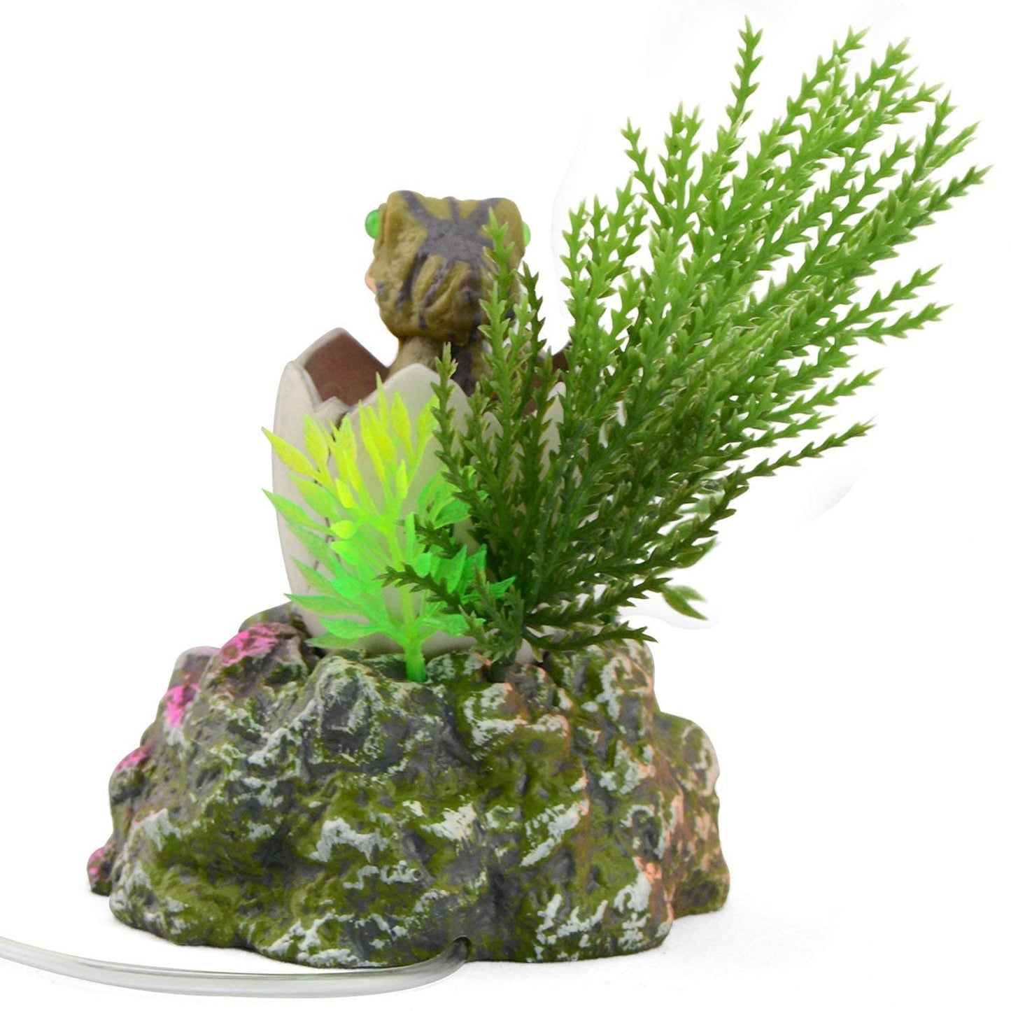 Your one-stop shop for diverse, top-quality aquarium supplies and accessories