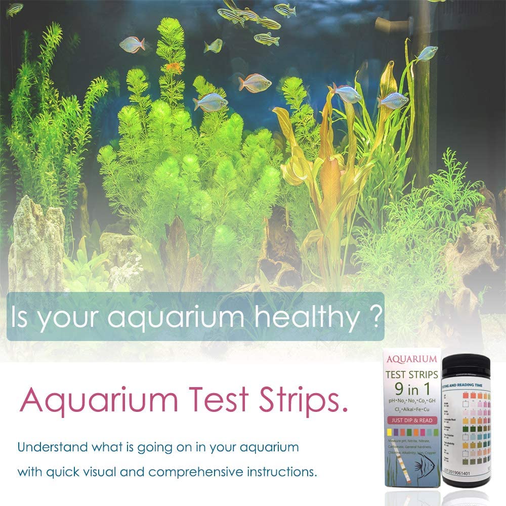 Your one-stop shop for diverse, top-quality aquarium supplies and accessories