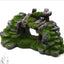 Your one-stop shop for diverse, top-quality aquarium supplies and accessories