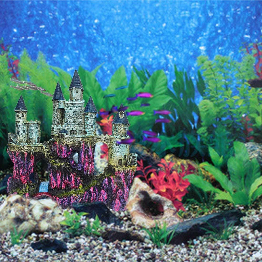 Your one-stop shop for diverse, top-quality aquarium supplies and accessories