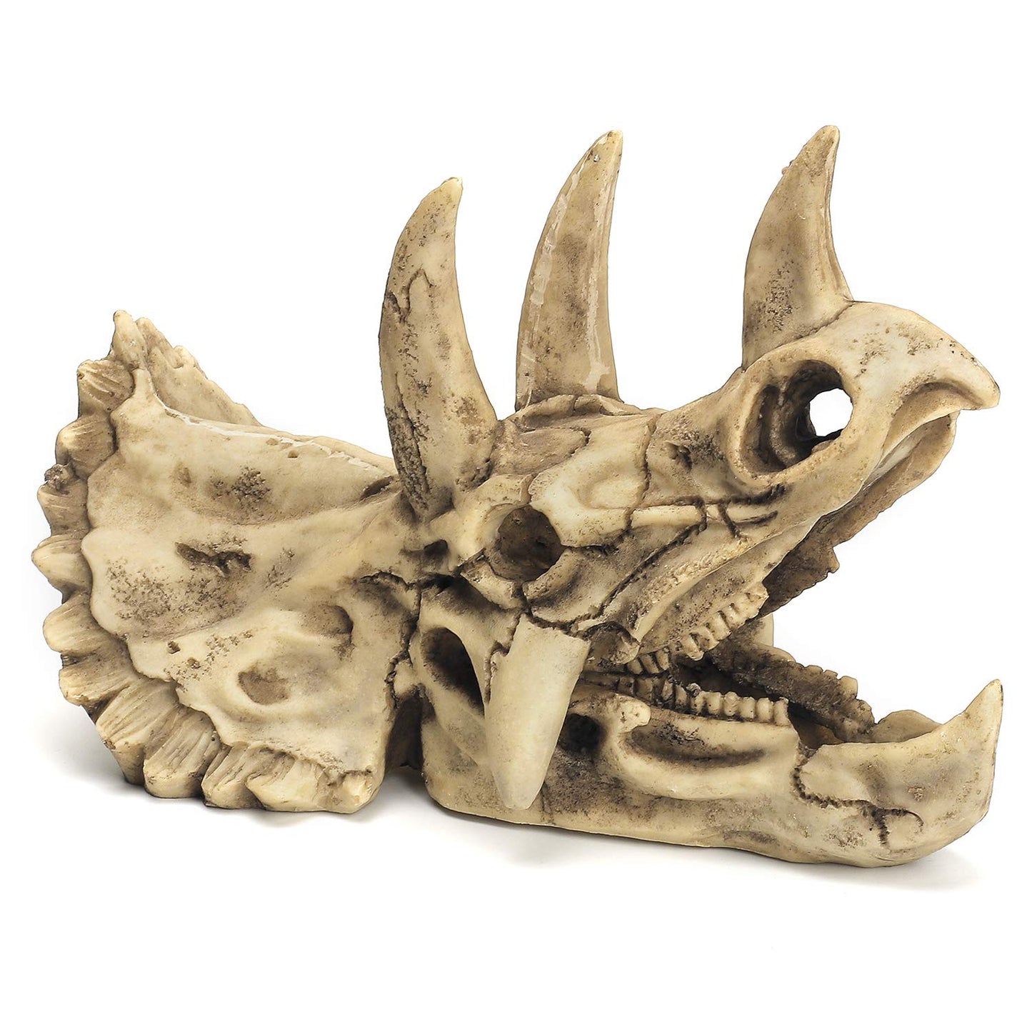 Your one-stop shop for diverse, top-quality aquarium supplies and accessories