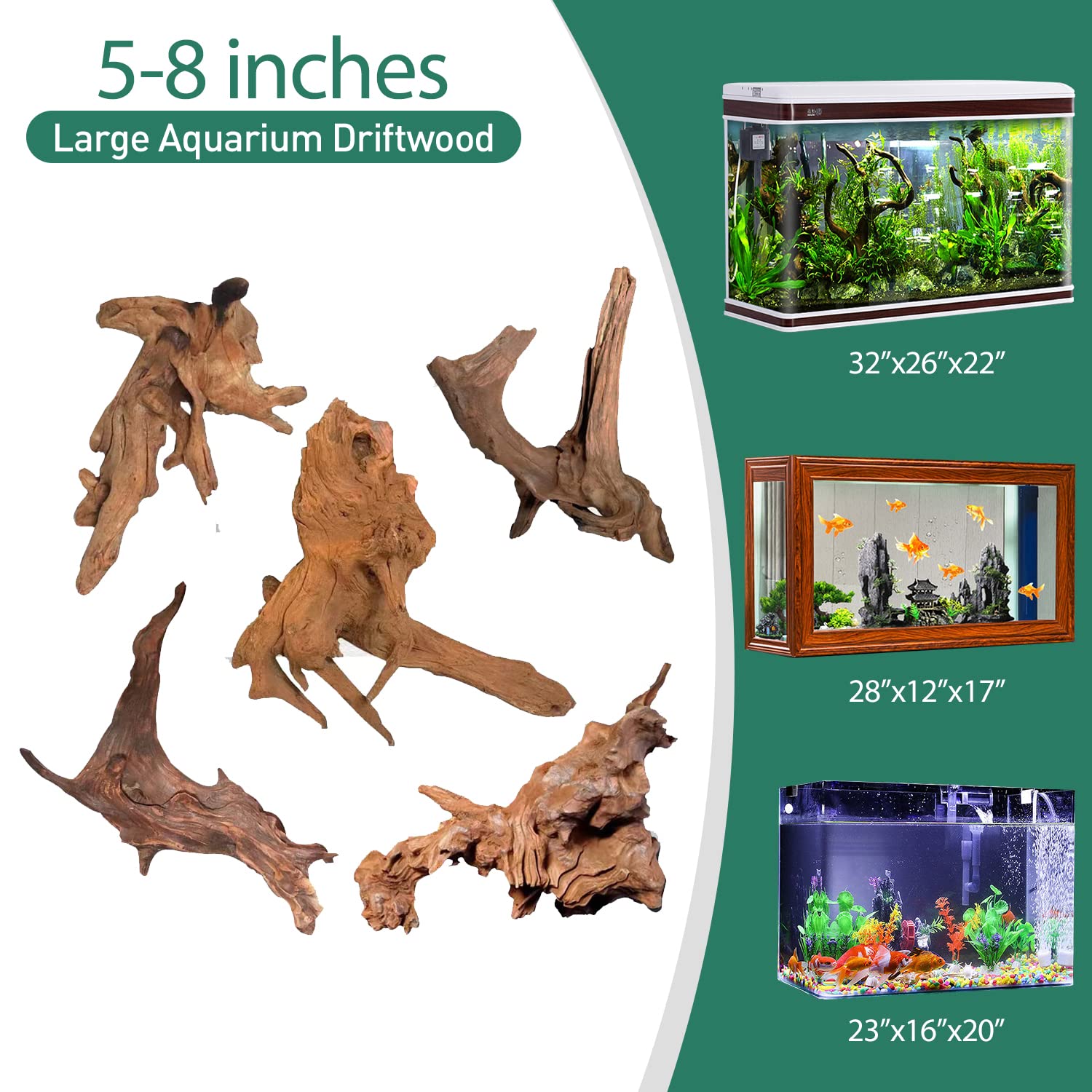 Your one-stop shop for diverse, top-quality aquarium supplies and accessories