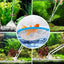Your one-stop shop for diverse, top-quality aquarium supplies and accessories