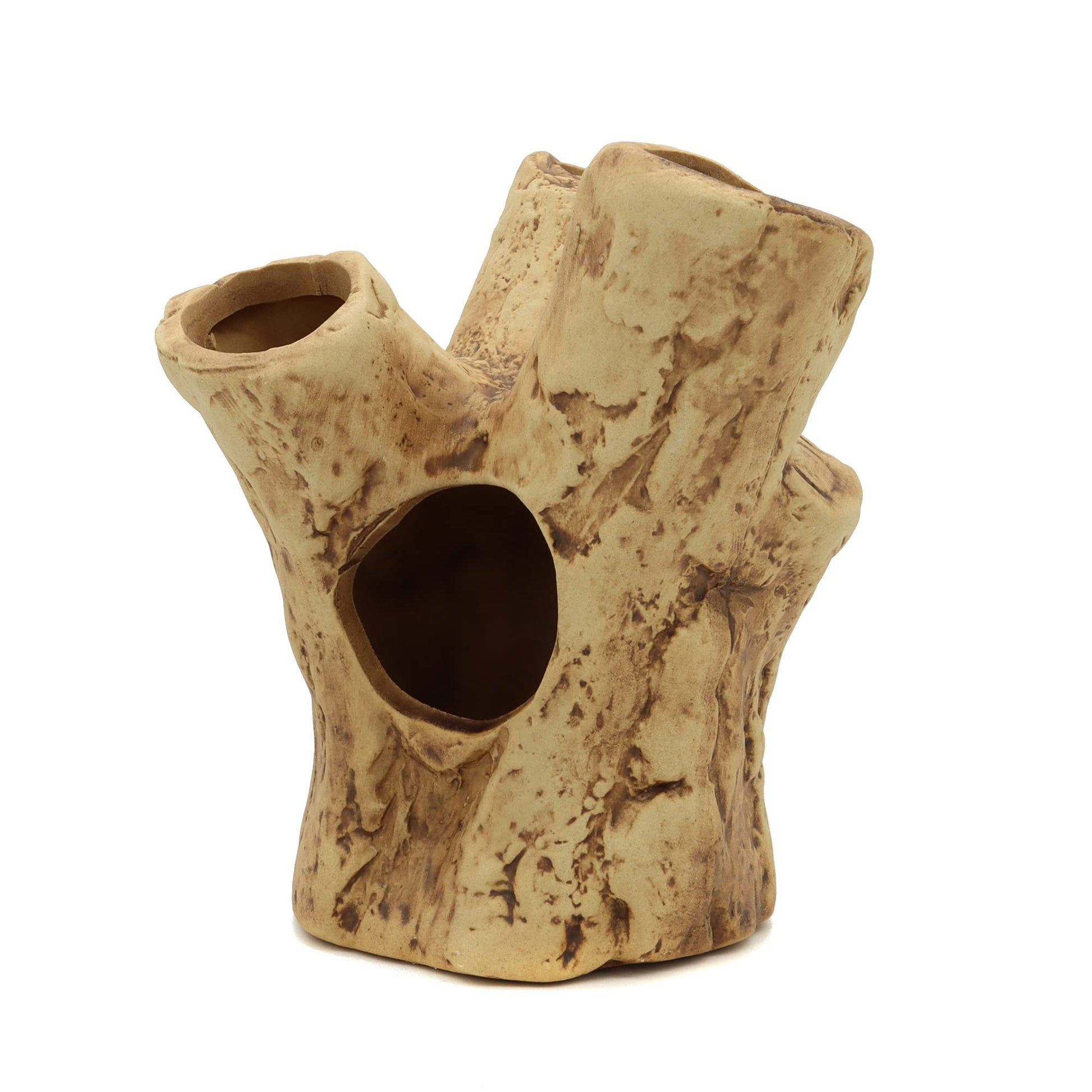 Your one-stop shop for diverse, top-quality aquarium supplies and accessories