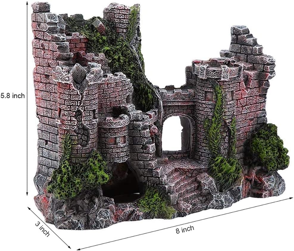 Your one-stop shop for diverse, top-quality aquarium supplies and accessories