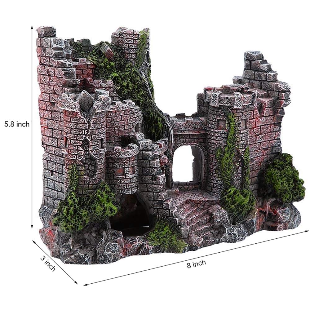 Your one-stop shop for diverse, top-quality aquarium supplies and accessories