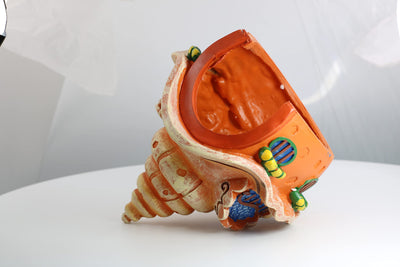 Your one-stop shop for diverse, top-quality aquarium supplies and accessories