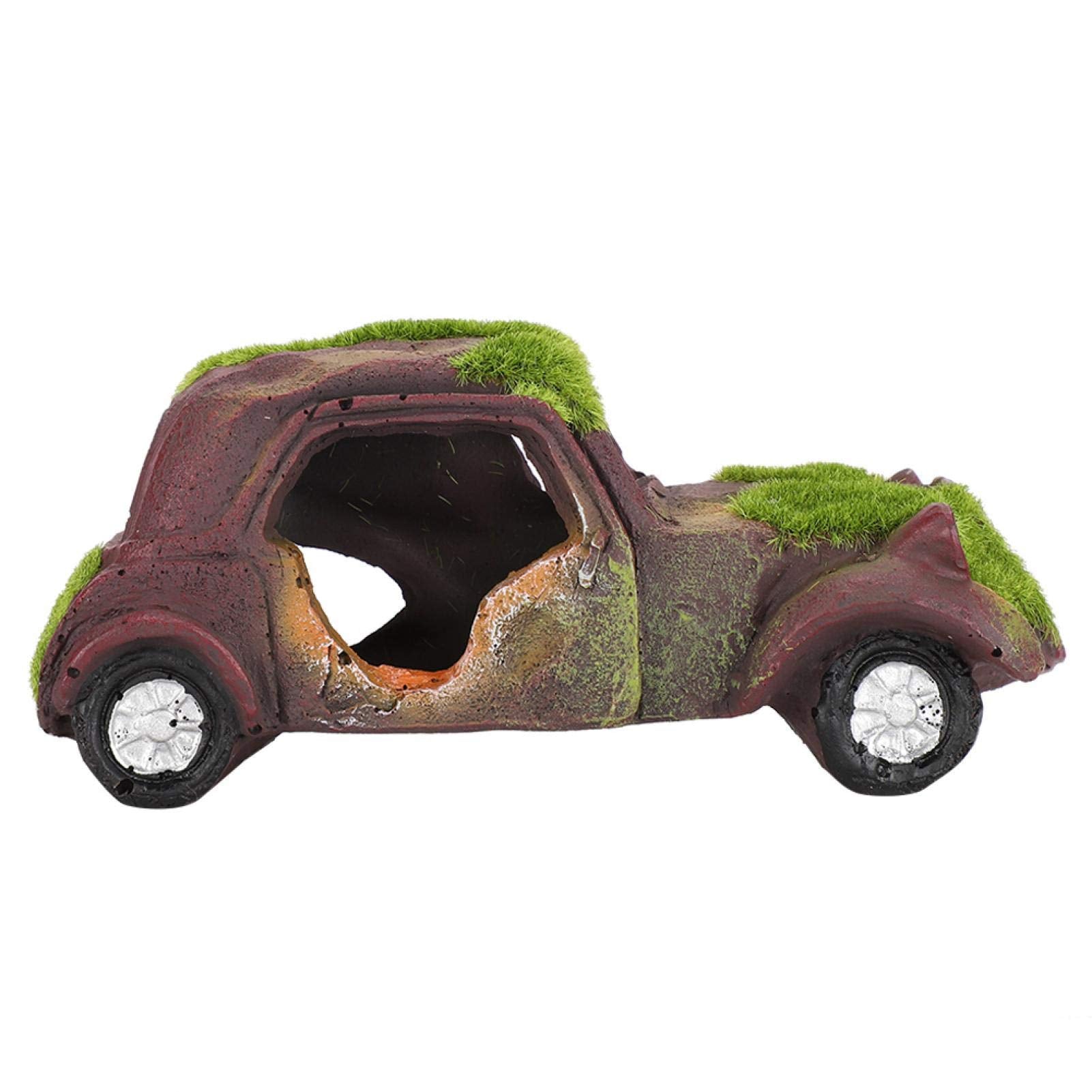 Your one-stop shop for diverse, top-quality aquarium supplies and accessories