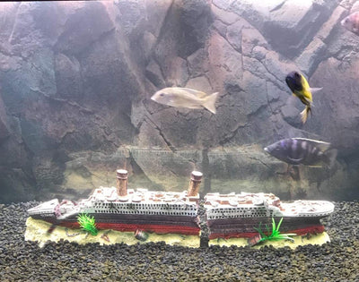 Your one-stop shop for diverse, top-quality aquarium supplies and accessories