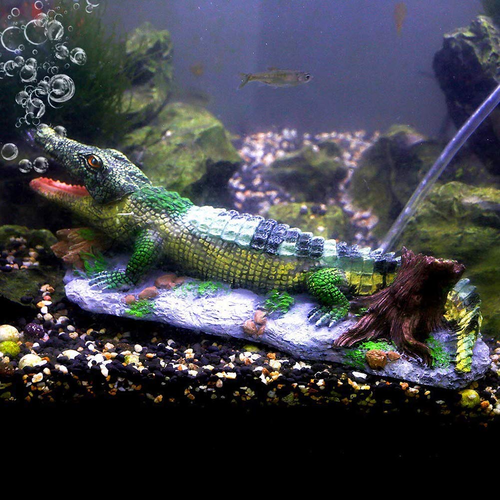 Your one-stop shop for diverse, top-quality aquarium supplies and accessories