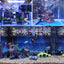Your one-stop shop for diverse, top-quality aquarium supplies and accessories