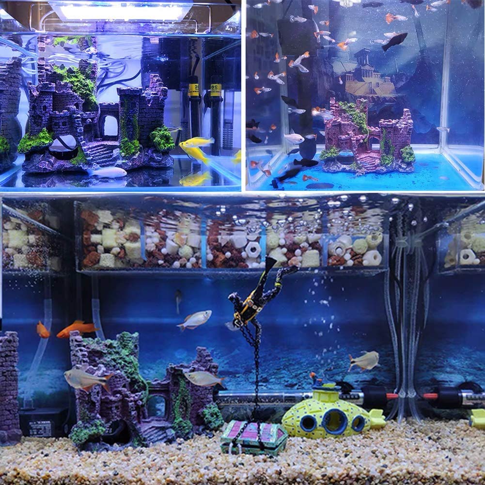 Your one-stop shop for diverse, top-quality aquarium supplies and accessories