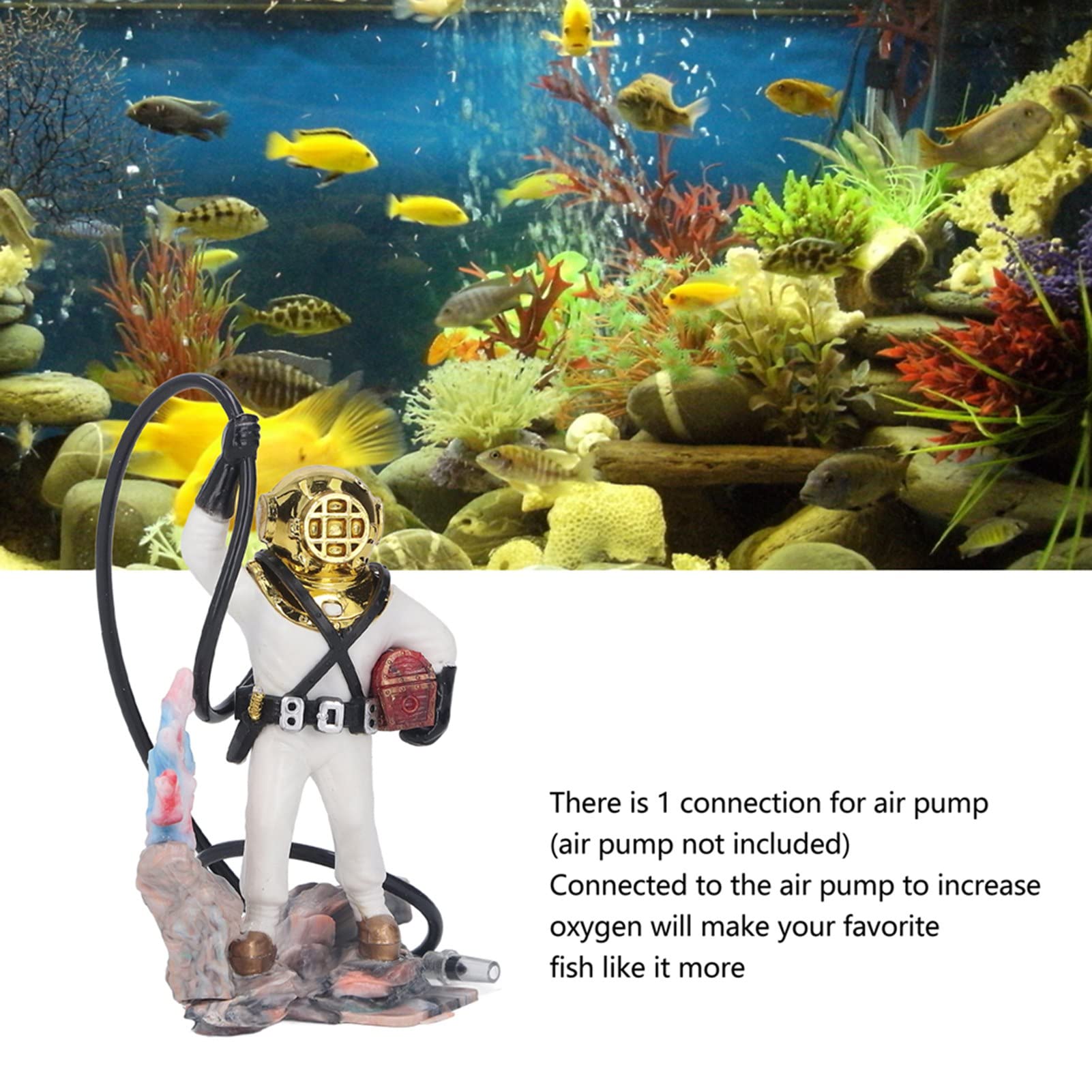 Your one-stop shop for diverse, top-quality aquarium supplies and accessories