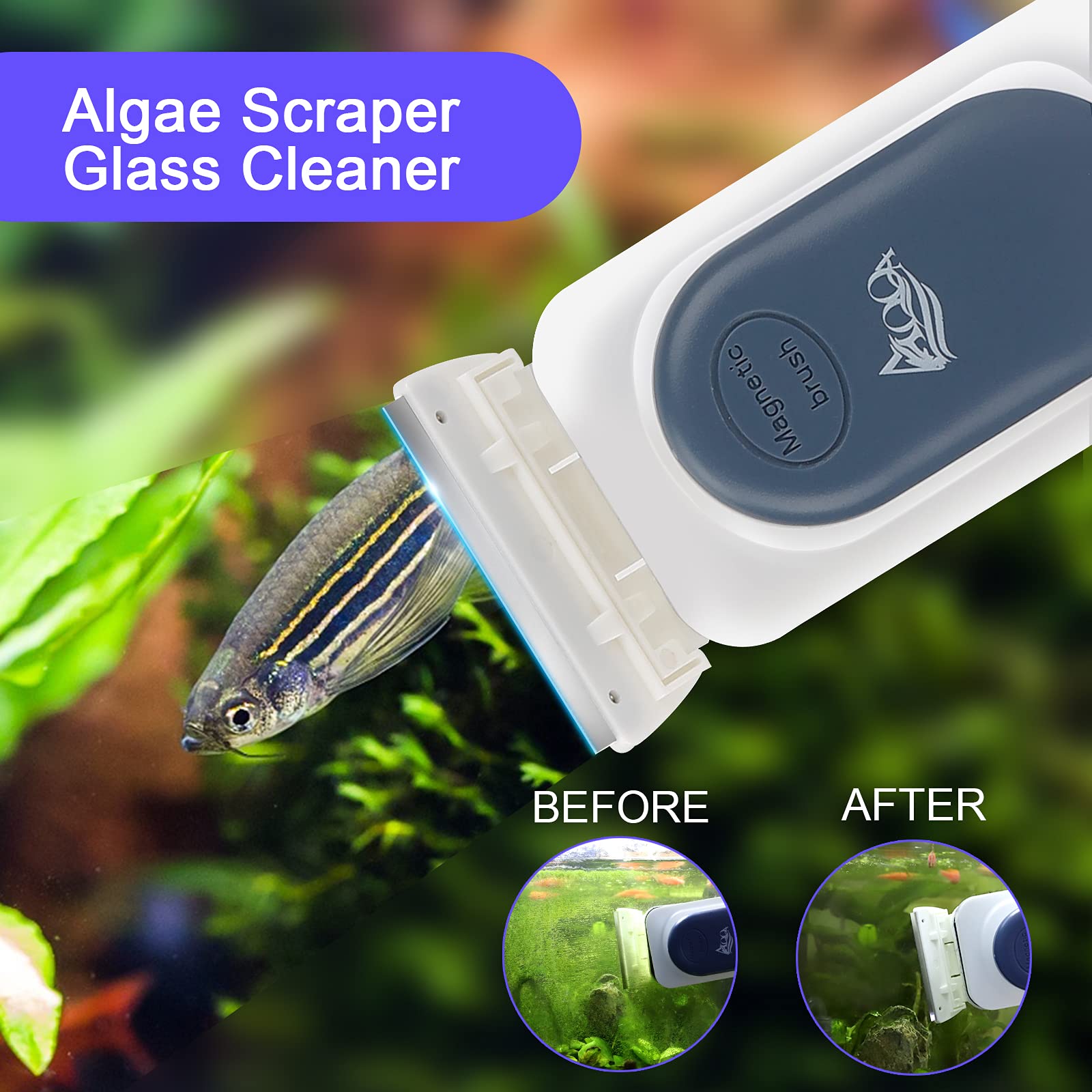 Your one-stop shop for diverse, top-quality aquarium supplies and accessories