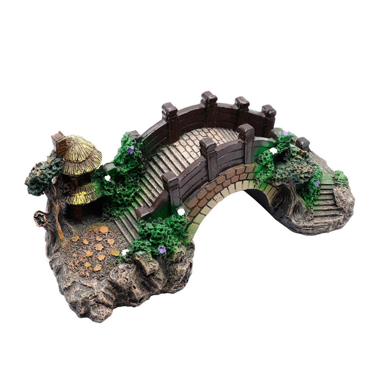 Your one-stop shop for diverse, top-quality aquarium supplies and accessories