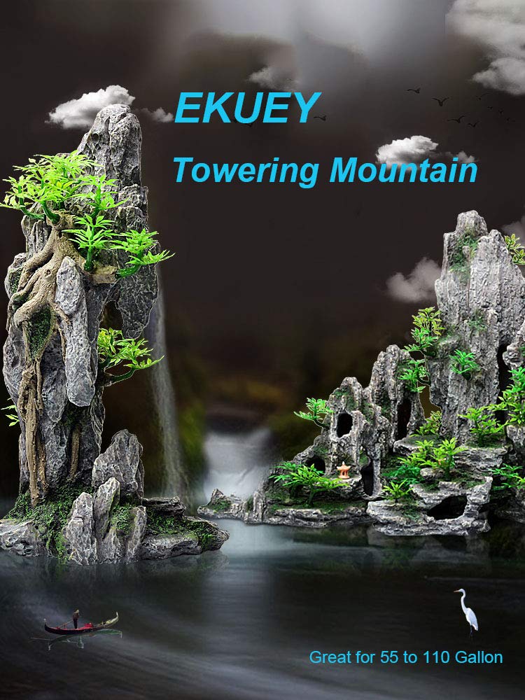 Your one-stop shop for diverse, top-quality aquarium supplies and accessories