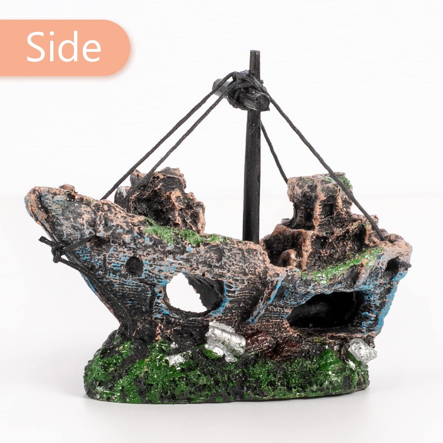 Your one-stop shop for diverse, top-quality aquarium supplies and accessories