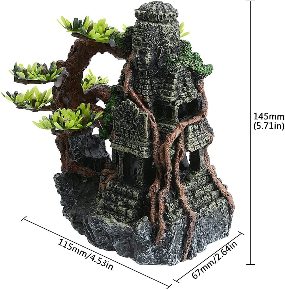 Your one-stop shop for diverse, top-quality aquarium supplies and accessories