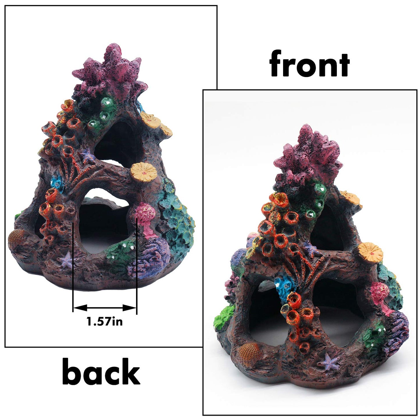 Your one-stop shop for diverse, top-quality aquarium supplies and accessories